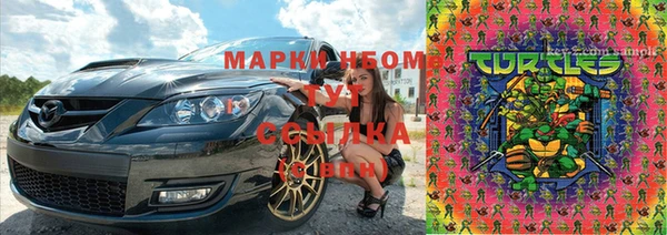 спиды Богородицк