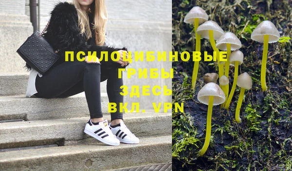 мяу мяу мука Нефтегорск