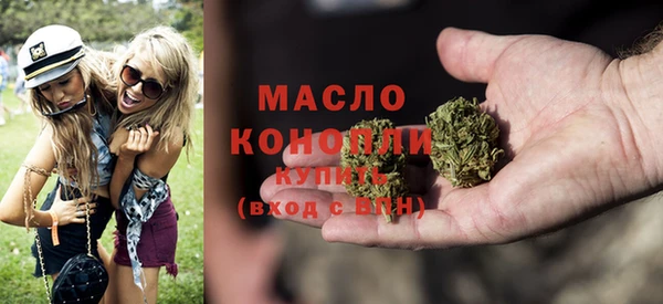 индика Новокубанск